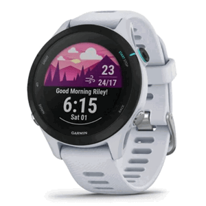 Garmin Forerunner 255S Music Whitestone